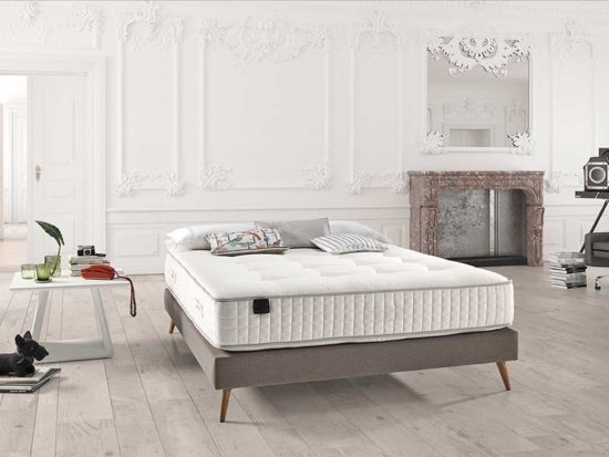 orus-ambiente.jpg