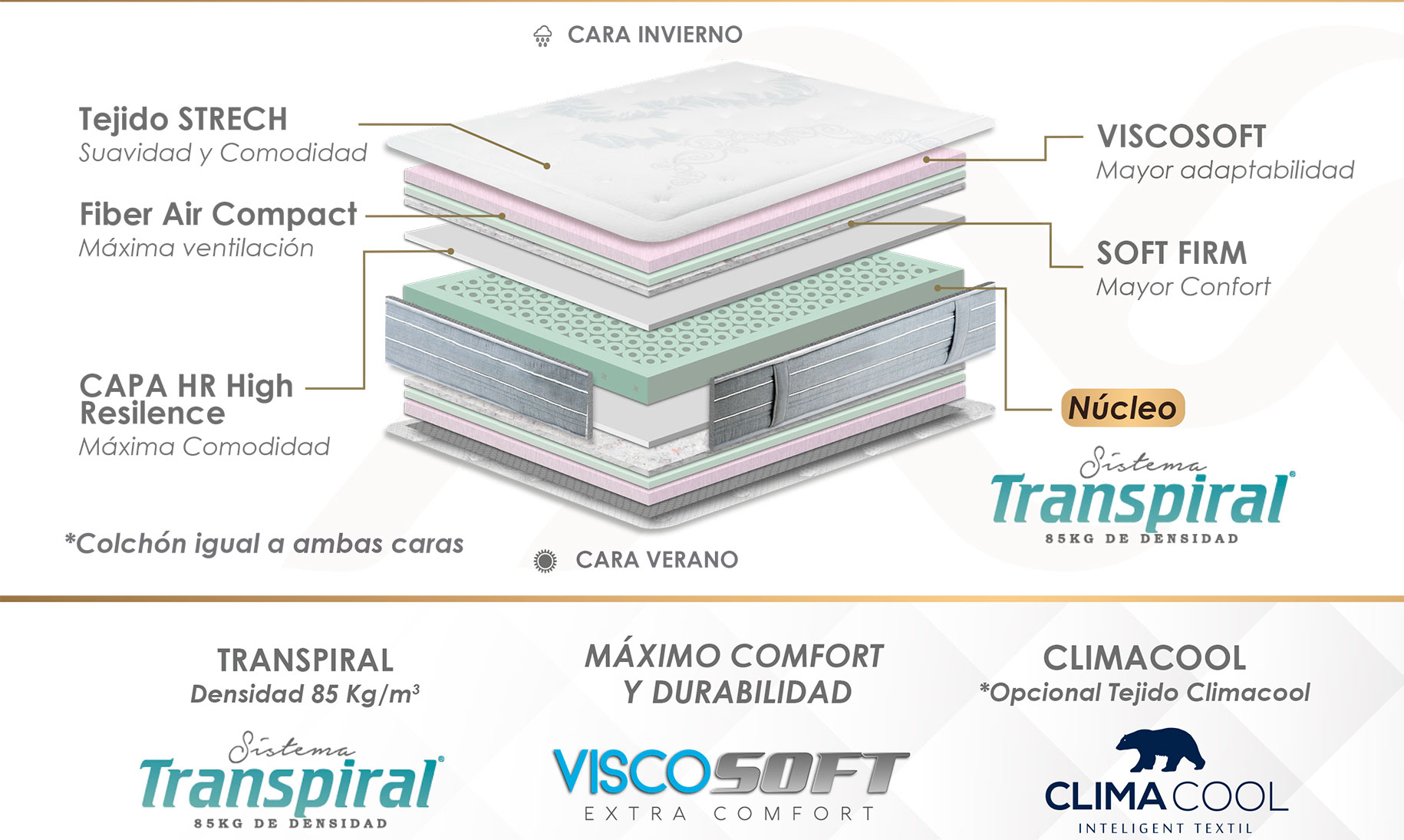 airmax-moraplex-caracteristicas